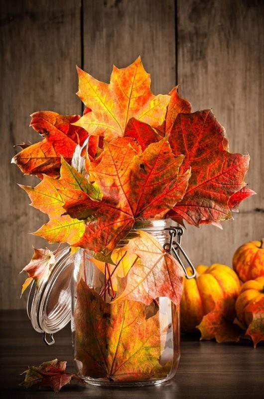 My Fall Blog