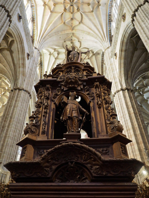 Salamanca Cathedral, Castile and León, Spain. VIA.