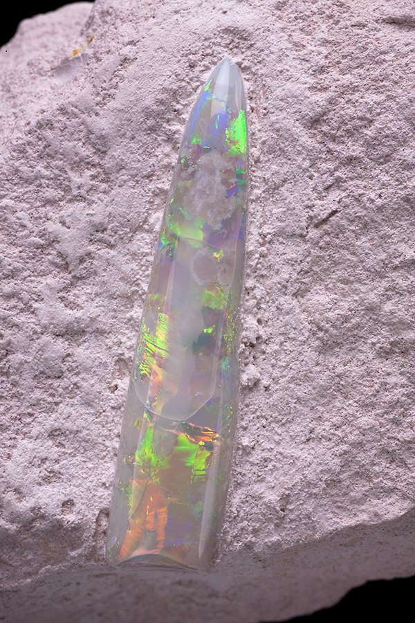 themineralogist:  Opalized belemnites (fossilized cephalopods which resembled squids)