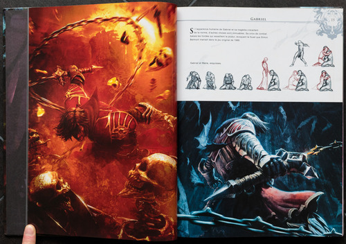 castlevania lords of shadow book