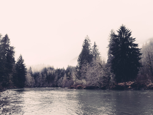 lifeinmotion84:  Winter is coming. 
