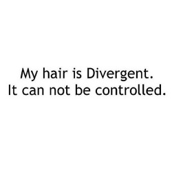 alterskull:  Divergent 😂 na We Heart It.