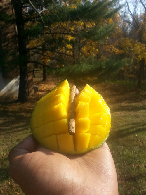 stoner-vogue:  Out and about with my blunt and mango on a warm fall day