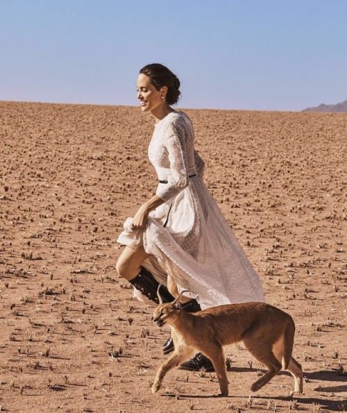 Angelina Jolie for Harper&rsquo;s Bazaar
