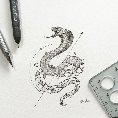 warpiggly:Animales dibujados de una forma singular ¿cual te a gustado? 