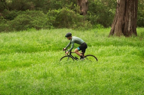 ornotbike:There is a trail in that , Ornot. #ridetodayornot #roadbikesoffroad