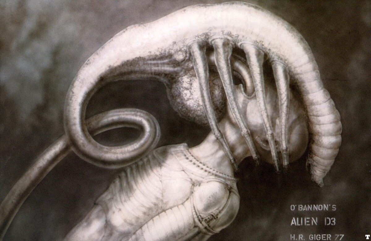 talesfromweirdland:  Facehugger concept art by H.R. Giger. ALIEN (1979).