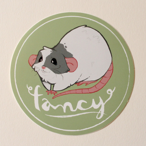 Show your love for your pet rats with this UV-resistant sticker or sweet heart necklace! Some f