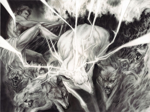 red-lipstick:  Nimit Malavia - 26 Point Stag     Drawings: Charcoal and Graphite on Paper 