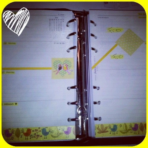 #filofax #filofaxing #myweek #birds #washitape #planer