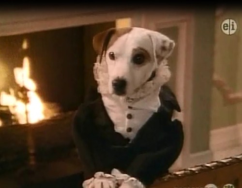 ohnoanotherputz: I randomly thought of Wishbone the awesome dog from PBS back in the day. Naturally 