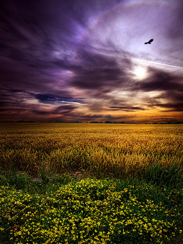 Photograph by Phil~Koch on flickr