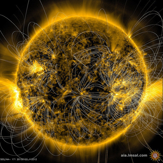 spacettf:  Magnetic Field Lines on the Sun by NASA Goddard Photo and Video on Flickr.