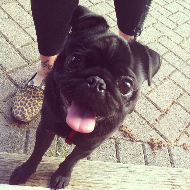 robynvandort:  we’re going for a walk 💕