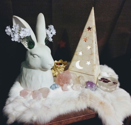 starry-eyed-forest-witch:Bedside Ostara Altar