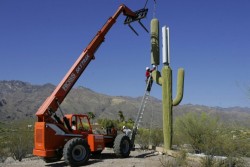 grooveland:  hiding a cell phone tower in AZ