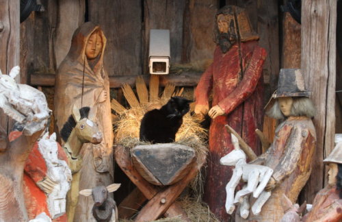 lamus-dworski:Cat occupying the nativity scene set up in the Camaldolese Hermit Monastery (Klasztor 