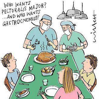themedicalchronicles: themedicalchronicles:  Happy Thanksgiving everyone!   Happy Thanksgiving, Tumblrers! Hope it’s a safe, and lovely one. And thank you all for following me, in the States, and worldwide! :)  Replace that turkey, with a med student,