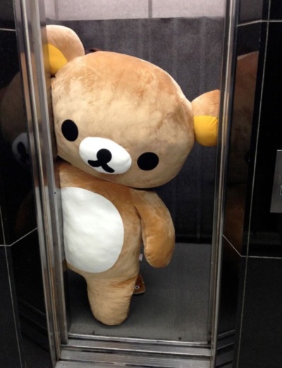 osos de peluche tumblr
