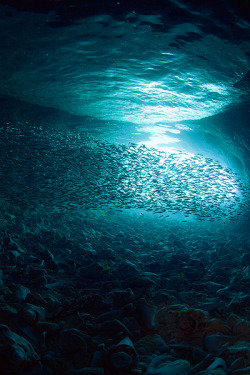 senerii:  Sea Cave and Silver Sides by *sassamafracken