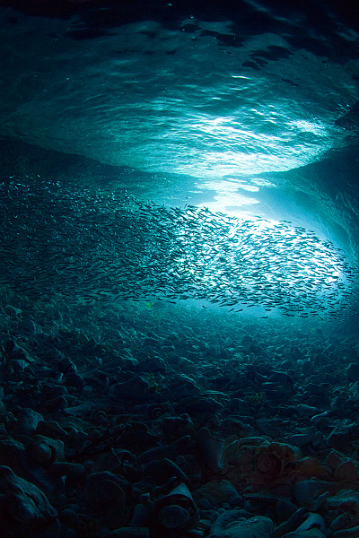 senerii:  Sea Cave and Silver Sides by *sassamafracken 