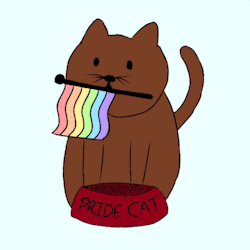 saltyartist25:  Pride cat waiting for food