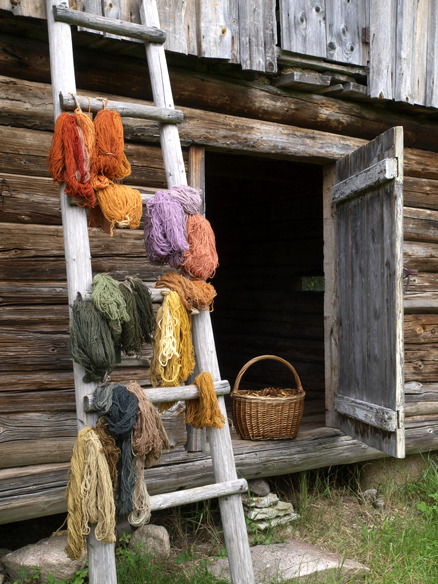 naturaldyes-blog:dyed with mushrooms {source}