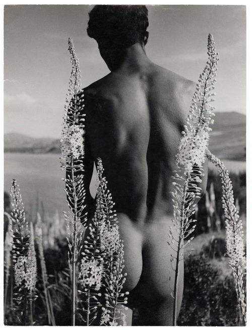 armchairmusings:Photographer: Herbert List (1903-1975)Young Man with Eremurus (Desert Candles)H