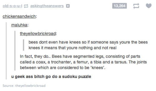 itsstuckyinmyhead: Bees and Tumblr