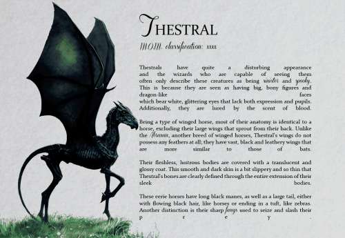 elvndork:   ■ Harry Potter themed asks: [29] Unicorns or Thestrals? “But they’re really,