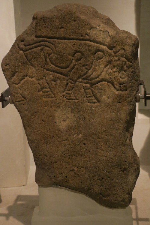 Pictish Animal Rock Art,The National Museum of Scotland, 24.2.17.