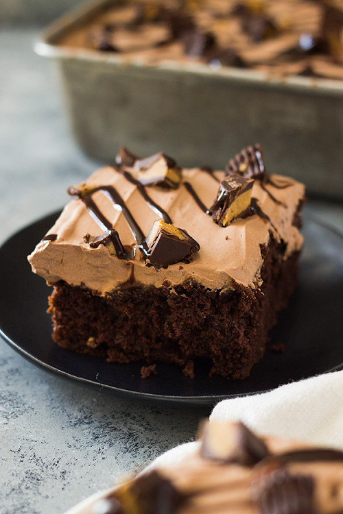 Chocolate Peanut Butter Poke Cake