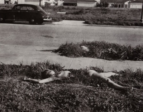 coralstuffandthings: When the body of Elizabeth Short was discovered, Los Angeles seemd to freeze. S