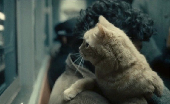 theatlantic:
“ What’s Really Going On with the Cat in Inside Llewyn Davis: A Theory
“ Maybe the film’s mysterious feline is Llewyn Davis. Read more. [Image: CBS Films]
” ”
Hey critics all these Llewyn Davis and Her articles would be great and would...