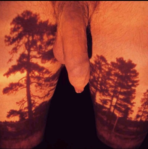 illimitable nature