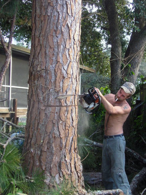 dudeworker:natural guys