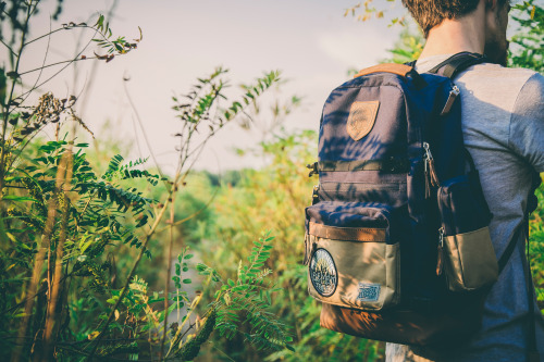 Element x TIMBER : Dillinger Backpack