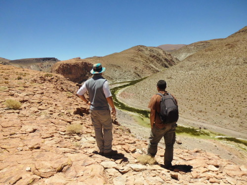 Fieldwork on Antofagasta de la Sierra (Northern Argentina).