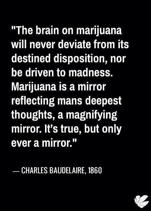 Legalize the Cannabis