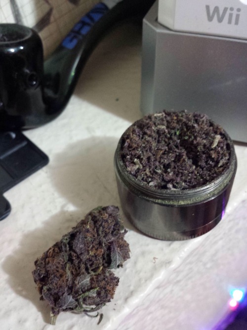 higheramerica:  Never seen so much purp in all my life!