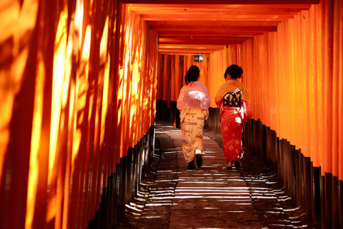 Fushimi Inari taisha Kimono girls, Kyoto, Japan / Japón