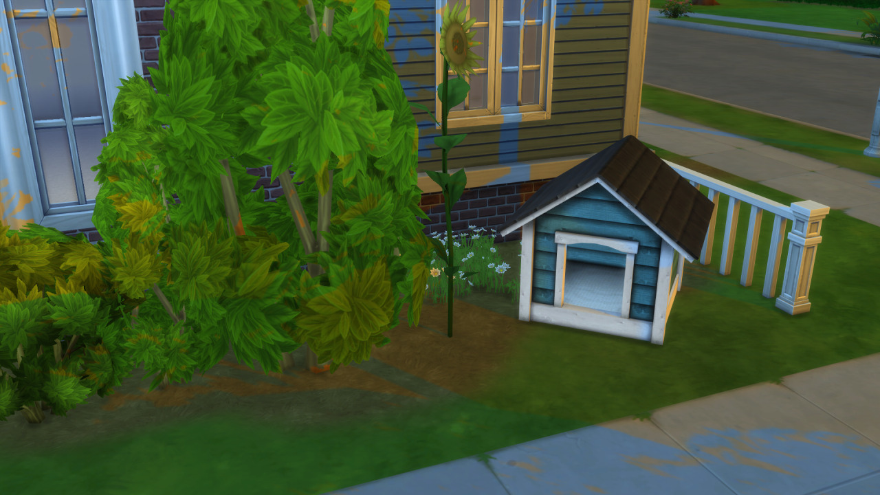 Sims 4 Dog House