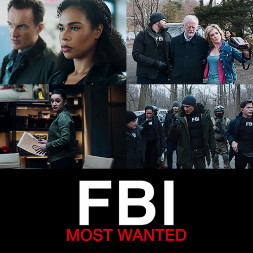 FBI: Most Wanted 2.01 - 2.06↳ 1080p logofree screencaps