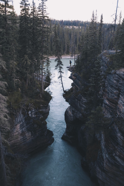 athabasca falls