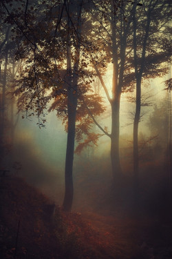 brutalgeneration:  fog pit (by Dyrk.Wyst)