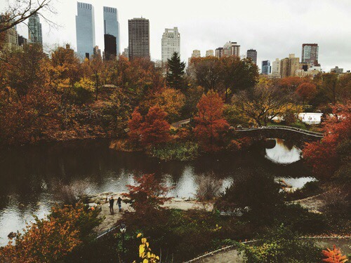 coldoctobernights:  🎃🍂👻🍁