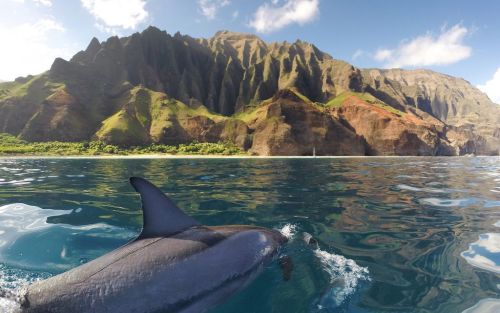 wave-dancer:earth-land:Na Pali Coast, Kauai - HawaiiKauai’s famous coastline is truly majestic, feat