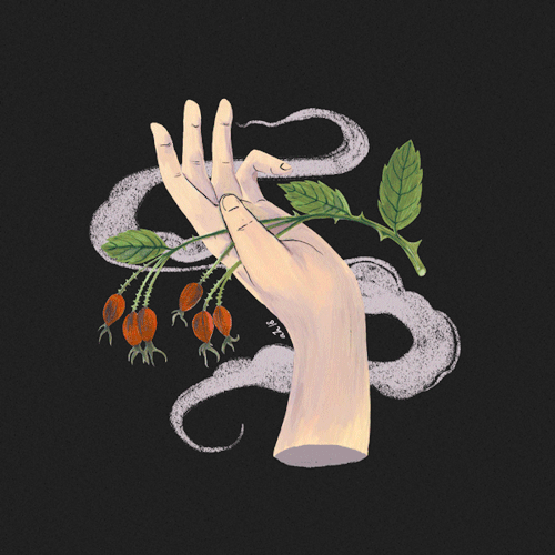 Herbal Hands