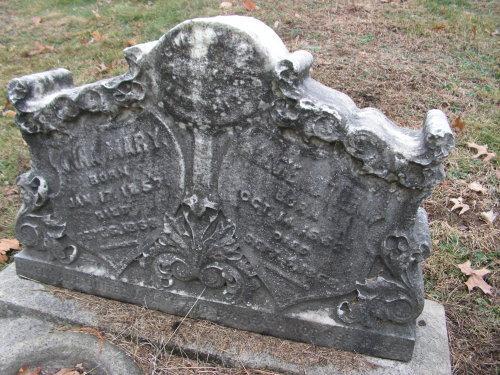 grrg63heavenonearth:  Allegheny Cemetery 12-3-14-20