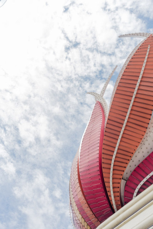 The Flamingo Las Vegas, Nevada